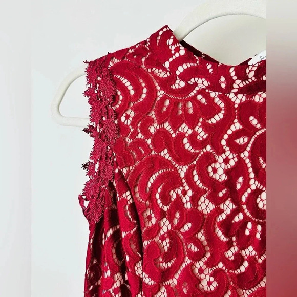 Francesca Serafina Lace Dress - Size XS - Picture 4 of 11